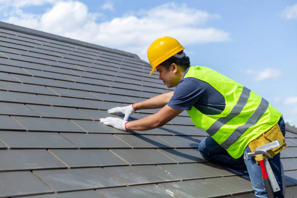Best Local Roofing Companies  in Daingerfield, TX