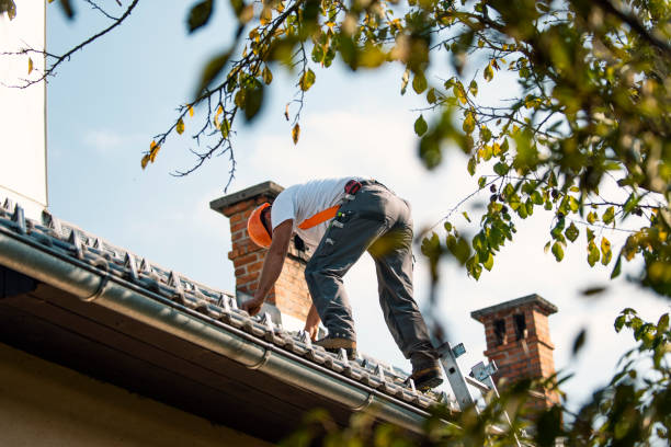 Professional Roofing Contractor in Daingerfield, TX