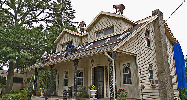 Professional Roofing Contractor in Daingerfield, TX